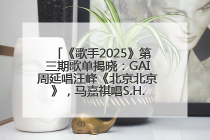 《歌手2025》第三期歌单揭晓：GAI周延唱汪峰《北京北京》，马嘉祺唱S.H.E《你曾是少年》