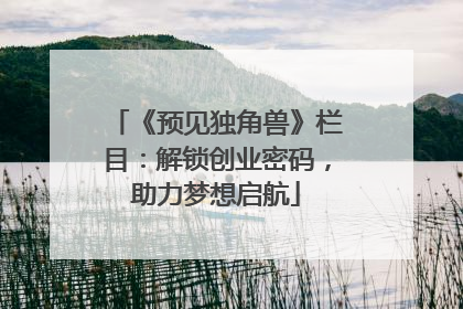 《预见独角兽》栏目：解锁创业密码，助力梦想启航
