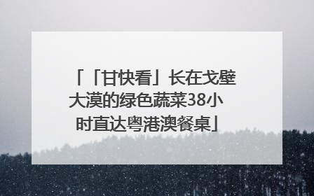 「甘快看」长在戈壁大漠的绿色蔬菜38小时直达粤港澳餐桌