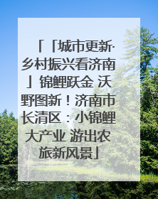 「城市更新·乡村振兴看济南」锦鲤跃金 沃野图新！济南市长清区：小锦鲤大产业 游出农旅新风景