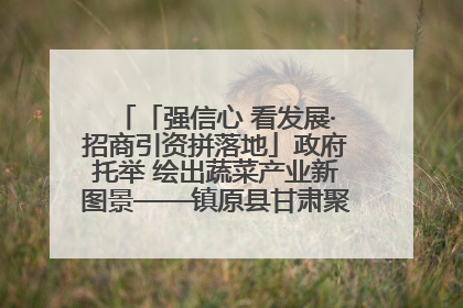 「强信心 看发展·招商引资拼落地」政府托举 绘出蔬菜产业新图景——镇原县甘肃聚广利现代设施蔬菜种植基地见闻