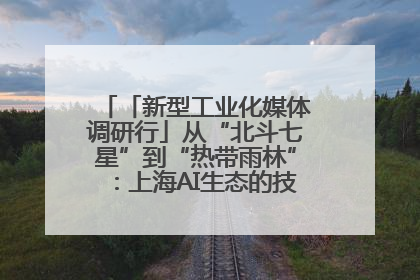 「新型工业化媒体调研行」从“北斗七星”到“热带雨林”：上海AI生态的技术商业共生密码