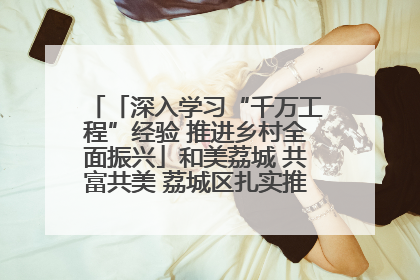「深入学习“千万工程”经验 推进乡村全面振兴」和美荔城 共富共美 荔城区扎实推进乡村振兴工作