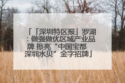 「深圳特区报」罗湖：做强做优区域产业品牌 擦亮“中国宝都 深圳水贝”金字招牌