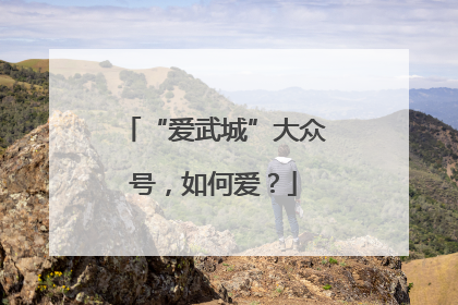 “爱武城”大众号，如何爱？