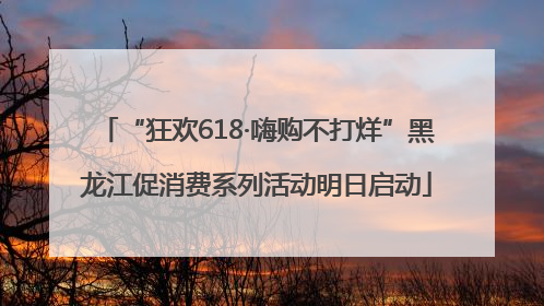 “狂欢618·嗨购不打烊”黑龙江促消费系列活动明日启动