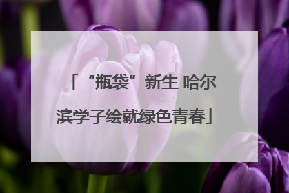 “瓶袋”新生 哈尔滨学子绘就绿色青春