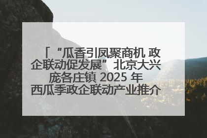 “瓜香引凤聚商机 政企联动促发展”北京大兴庞各庄镇 2025 年西瓜季政企联动产业推介活动圆满举行