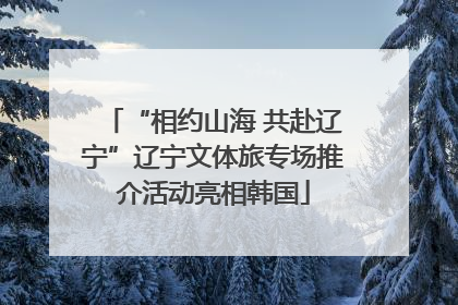 “相约山海 共赴辽宁”辽宁文体旅专场推介活动亮相韩国