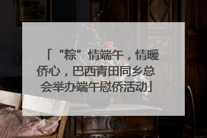 “粽”情端午，情暖侨心，巴西青田同乡总会举办端午慰侨活动