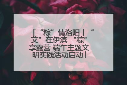 “粽”情洛阳丨“艾”在伊滨 “粽”享露营 端午主题文明实践活动启动