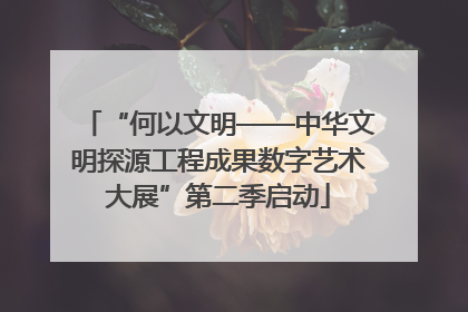 “何以文明——中华文明探源工程成果数字艺术大展”第二季启动