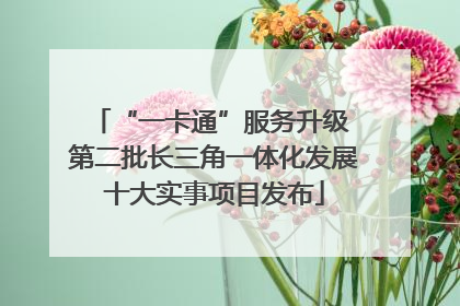 “一卡通”服务升级 第二批长三角一体化发展十大实事项目发布
