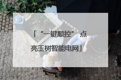 “一键顺控” 点亮玉树智能电网