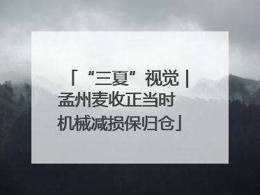 “三夏”视觉｜孟州麦收正当时 机械减损保归仓
