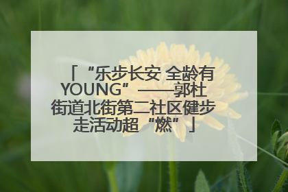 “乐步长安 全龄有YOUNG”——郭杜街道北街第二社区健步走活动超“燃”