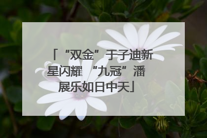 “双金”于子迪新星闪耀 “九冠”潘展乐如日中天