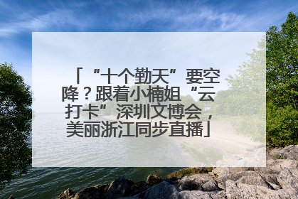 “十个勤天”要空降？跟着小楠姐“云打卡”深圳文博会，美丽浙江同步直播