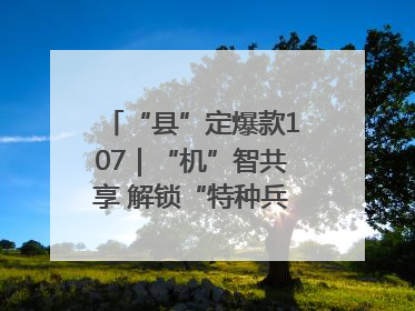 “县”定爆款107｜“机”智共享 解锁“特种兵团”的N种可能