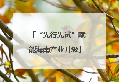“先行先试”赋能海南产业升级