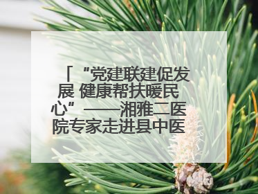 “党建联建促发展 健康帮扶暖民心”——湘雅二医院专家走进县中医医院开展健康帮扶活动