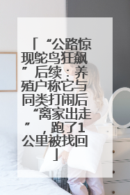 “公路惊现鸵鸟狂飙”后续：养殖户称它与同类打闹后“离家出走”，跑了1公里被找回