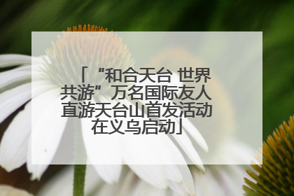 “和合天台 世界共游”万名国际友人直游天台山首发活动在义乌启动