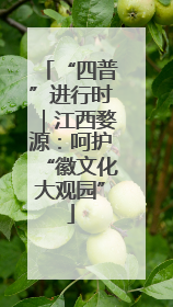 “四普”进行时｜江西婺源：呵护“徽文化大观园”