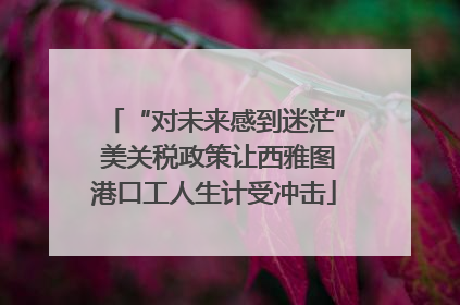 “对未来感到迷茫” 美关税政策让西雅图港口工人生计受冲击