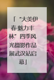 “大美伊春·魅力丰林”四季风光摄影作品展武汉站启幕