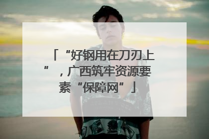 “好钢用在刀刃上”，广西筑牢资源要素“保障网”