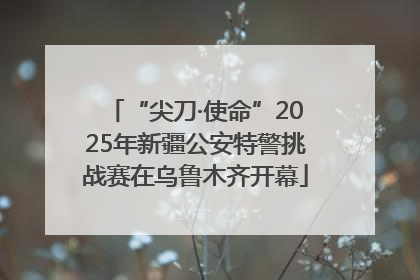 “尖刀·使命”2025年新疆公安特警挑战赛在乌鲁木齐开幕