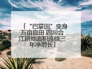 “巴掌田”变身万亩良田 四川合江耕地面积连续三年净增长