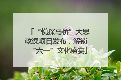 “悦探马桥”大思政课项目发布，解锁“六一”文化盛宴