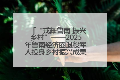 “戎耀鲁南 振兴乡村”——2025年鲁南经济圈退役军人投身乡村振兴成果展销会盛大启幕