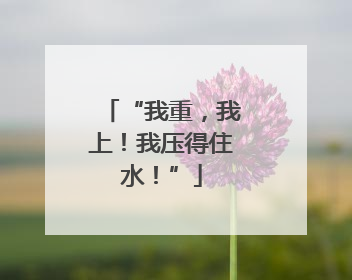 “我重，我上！我压得住水！”