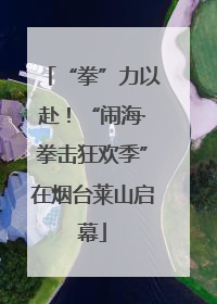 “拳”力以赴！“闹海·拳击狂欢季”在烟台莱山启幕