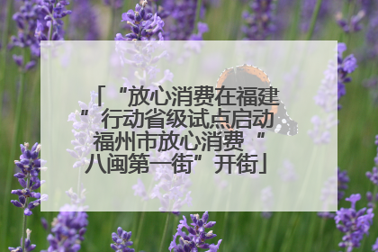 “放心消费在福建”行动省级试点启动 福州市放心消费“八闽第一街”开街
