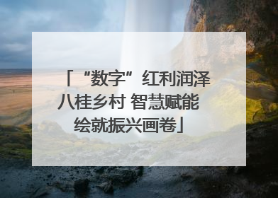 “数字”红利润泽八桂乡村 智慧赋能绘就振兴画卷