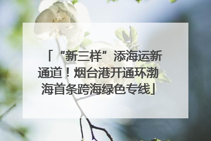 “新三样”添海运新通道！烟台港开通环渤海首条跨海绿色专线