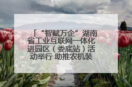 “智赋万企”湖南省工业互联网一体化进园区（娄底站）活动举行 助推农机装备产业高质量发展