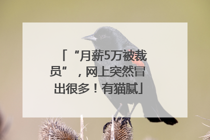 “月薪5万被裁员”，网上突然冒出很多！有猫腻