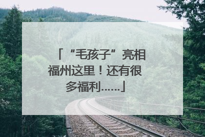 “毛孩子”亮相福州这里！还有很多福利……