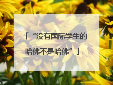 “没有国际学生的哈佛不是哈佛”