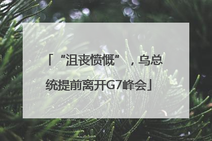 “沮丧愤慨”，乌总统提前离开G7峰会