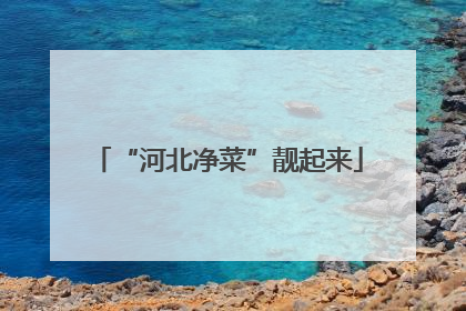 “河北净菜”靓起来