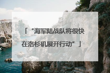 “海军陆战队将很快在洛杉矶展开行动”