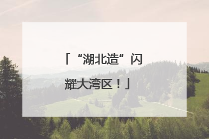 “湖北造”闪耀大湾区！