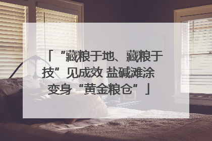 “藏粮于地、藏粮于技”见成效 盐碱滩涂变身“黄金粮仓”