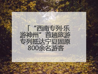 “西南专列·乐游神州”首趟旅游专列抵达宁夏固原 800余名游客开启清凉之旅